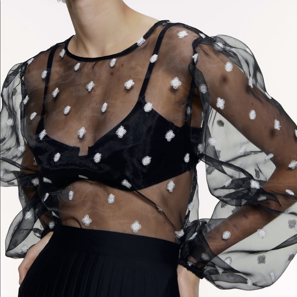 Zara Embroidered Black Organza Blouse - Picture 2 of 6